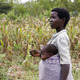 Maize farmer, Malawi